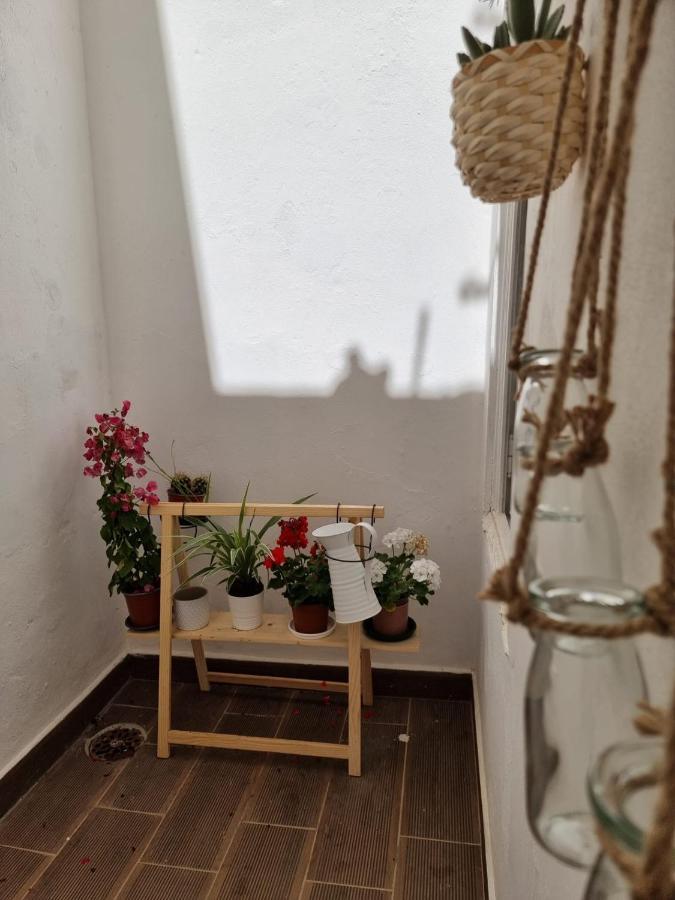 Dream Days Guesthouse 파로 외부 사진
